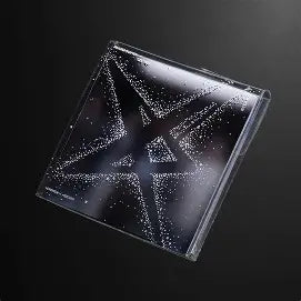 TXT The Star Ch:Together